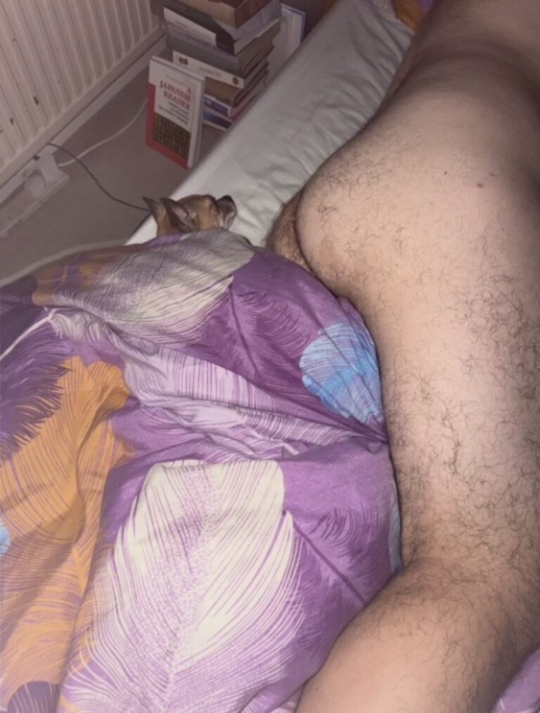 CozyMorning