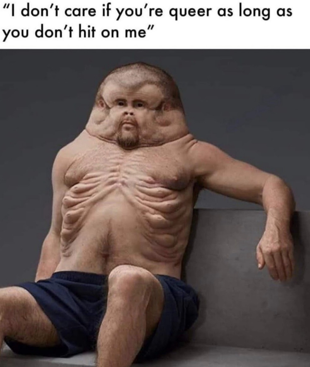 Meme joking about someone saying they do not mind queer people as long as they are not hit on.