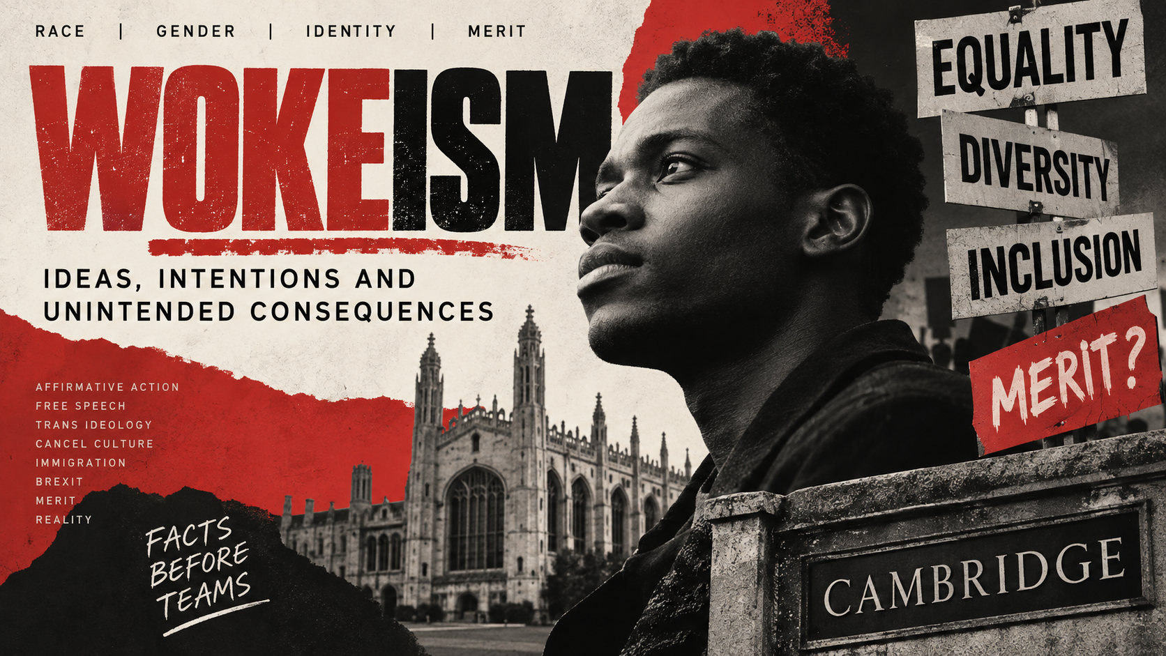 Editorial artwork exploring wokeism, equality, diversity, inclusion and merit