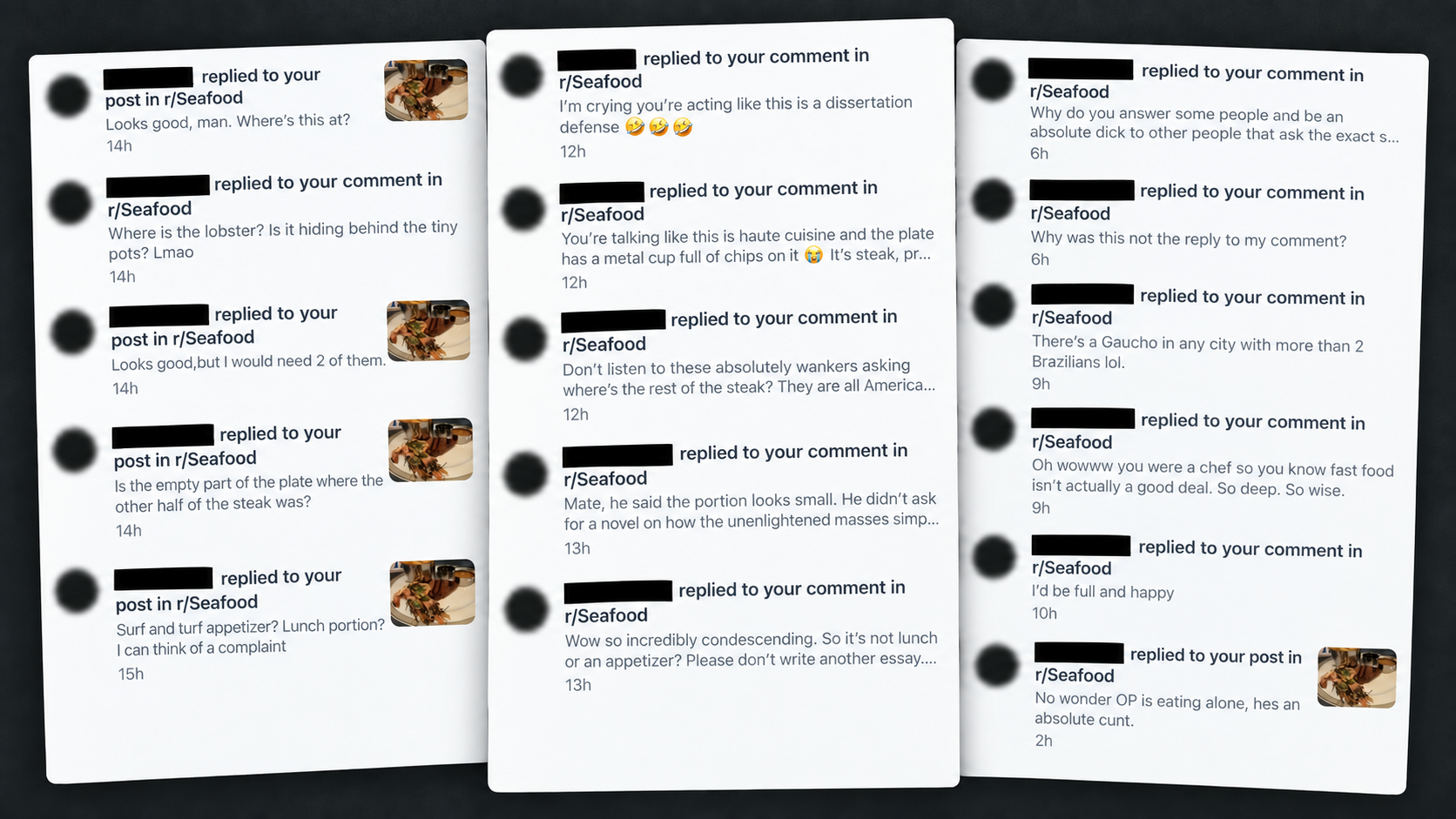 A redacted collage of Reddit notifications escalating from comments about a meal to personal abuse