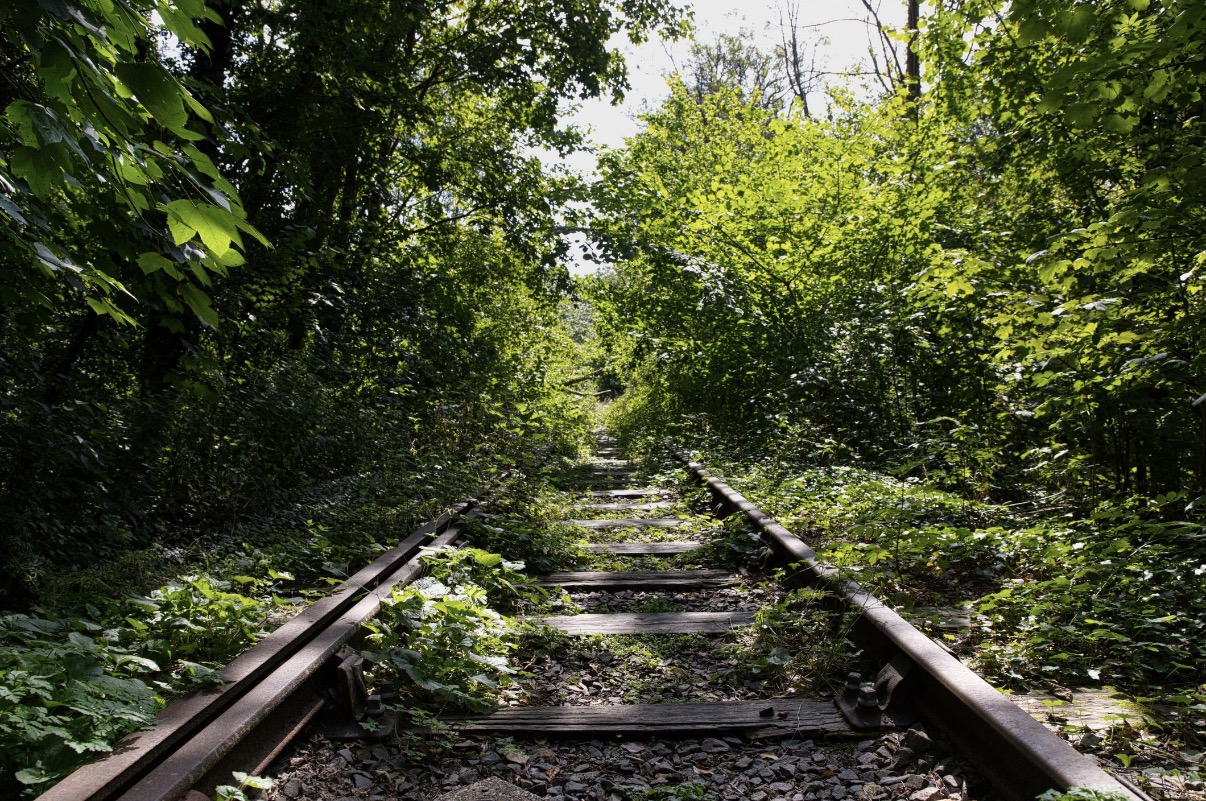 Railway photograph illustrating Beeching and the Great Closures
